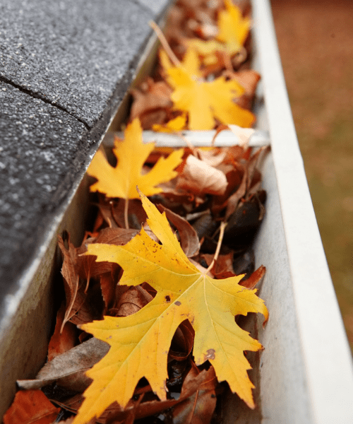 Gutter cleaning